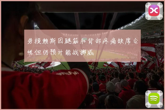 劳模赖斯因腿筋和背部疼痛缺席合练但仍预计能战挪威
