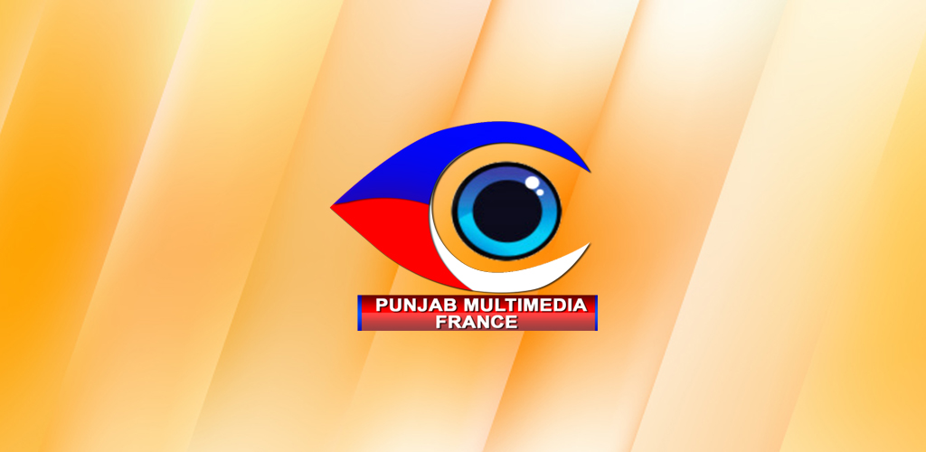 Punjab Multimedia Company Logo Design